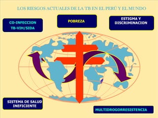 LOS RIESGOS ACTUALES DE LA TB EN EL PERÚ Y EL MUNDO

                                             ESTIGMA Y
CO-INFECCION            POBREZA           DISCRIMINACION
 TB-VIH/SIDA




SISTEMA DE SALUD
   INEFICIENTE
                                  MULTIDROGORRESISTENCIA
 