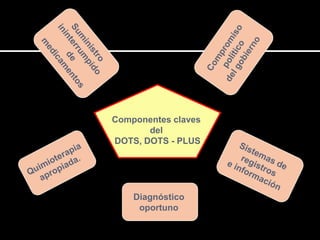 Componentes claves
       del
DOTS, DOTS - PLUS




    Diagnóstico
     oportuno
 