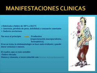 Febrícula o fiebre de 38°C a 38.5°C
 Anorexia, pérdida de peso, debilidad y cansancio constante
 Sudores nocturnos.

Tos seca al principio            Productiva
                                (expectoración mucopurulenta ,
                                 hemoptoica).
Si no se trata, la sintomatología se hace más evidente y puede
durar semanas o meses.

El cuadro, que es más notable:
-Fiebre elevada
Disnea y cianosis, a veces coincide con formas extrapulmonares.
 