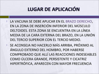 LA VACUNA SE DEBE APLICAR EN EL BRAZO DERECHO,
EN LA ZONA DE INSERCIÓN INFERIOR DEL MÚSCULO
DELTOIDES. ESTA ZONA SE ENCUENTRA EN LA LÍNEA
MEDIA DE LA CARA EXTERNA DEL BRAZO, EN LA UNIÓN
DEL TERCIO SUPERIOR CON EL TERCIO MEDIO.
 SE ACONSEJA NO HACERLO MÁS ARRIBA, PRÓXIMO AL
ÁNGULO EXTERNO DEL HOMBRO, POR HABERSE
COMPROBADO QUE ALLÍ LAS REACCIONES INDESEABLES
COMO ÚLCERA GRANDE, PERSISTENTE Y CICATRIZ
HIPERTRÓFICA, APARECEN CON MAYOR FRECUENCIA
 