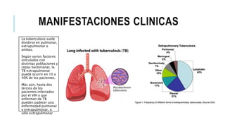MANIFESTACIONES CLINICAS
La tuberculosis suele
dividirse en pulmonar,
extrapulmonar o
ambas.
Según varios factores
vinculados con
distintas poblaciones y
cepas bacterianas, la
TB extrapulmonar
puede ocurrir en 10 a
40% de los pacientes.
Más aún, hasta dos
tercios de los
pacientes infectados
por el VIH y que
enferman de TB
pueden padecer una
enfermedad pulmonar
y extrapulmonar, o
sólo extrapulmonar
 