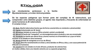 Las micobacterias pertenecen a la familia
Mycobacteriaceae y al orden Actinomycetales.
De las especies patógenas que forman parte del complejo de M. tuberculosis, que
comprenden ocho distintos grupos, el agente más importante y frecuente de enfermedad en
seres humanos es M. tuberculosis
El complejo incluye :
- M. Bovis (bacilo tuberculoso bovino que de forma característica es resistente a pirazinamida)
- M. Caprae (relacionado con M. bovis)
- M. Africanum (aislado en casos en África oriental, central y occidental)
- M. Microti (el bacilo del “campañol”, un microorganismo poco virulento y rara vez encontrado)
- M. Pinnipedii (un bacilo que afecta focas y leones marinos en el hemisferio sur y que en fecha
reciente se ha aislado en seres humanos)
- M. Mungi (aislada de mangostas en el sur de África)
- M. Orygis (descrita recientemente en órixes y otros bóvidos en África y Asia, y una causa potencial de
infección en humanos)
- M. Canetti (rara vez aislado en el este africano, productor de colonias lisas
en medios sólidos; tiene una relación estrecha con su supuesto progenitor).
 