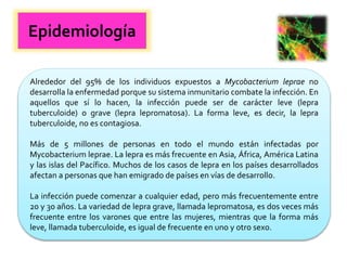 Epidemiología
Alrededor del 95% de los individuos expuestos a Mycobacterium leprae no
desarrolla la enfermedad porque su sistema inmunitario combate la infección. En
aquellos que sí lo hacen, la infección puede ser de carácter leve (lepra
tuberculoide) o grave (lepra lepromatosa). La forma leve, es decir, la lepra
tuberculoide, no es contagiosa.
Más de 5 millones de personas en todo el mundo están infectadas por
Mycobacterium leprae. La lepra es más frecuente en Asia, África, América Latina
y las islas del Pacífico. Muchos de los casos de lepra en los países desarrollados
afectan a personas que han emigrado de países en vías de desarrollo.
La infección puede comenzar a cualquier edad, pero más frecuentemente entre
20 y 30 años. La variedad de lepra grave, llamada lepromatosa, es dos veces más
frecuente entre los varones que entre las mujeres, mientras que la forma más
leve, llamada tuberculoide, es igual de frecuente en uno y otro sexo.
 