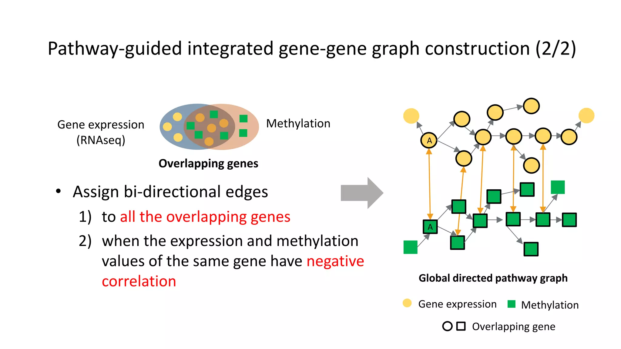 A
A
Global directed pathway graph
Gene expression Methylation
Overlapping gene
• Assign bi-directional edges
1) to all the overlapping genes
2) when the expression and methylation
values of the same gene have negative
correlation
Gene expression
(RNAseq)
Overlapping genes
Methylation
Pathway-guided integrated gene-gene graph construction (2/2)
 