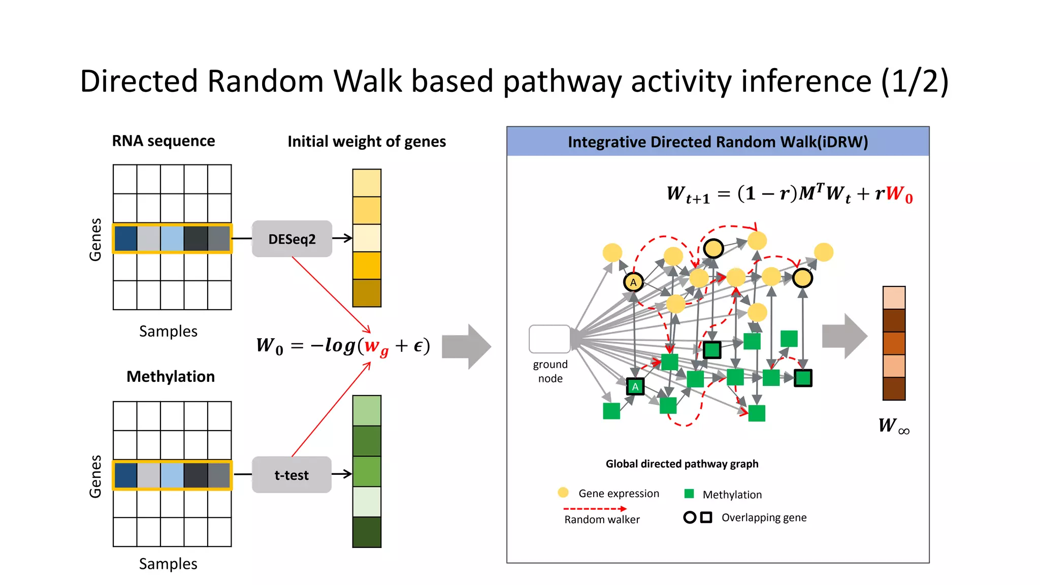 Genes
Samples
RNA sequence Initial weight of genes
Genes
Samples
Methylation
DESeq2
t-test
Integrative Directed Random Walk(iDRW)
A
A
ground
node
Global directed pathway graph
Gene expression Methylation
Overlapping geneRandom walker
𝑾 𝟎 = −𝒍𝒐𝒈(𝒘 𝒈 + 𝝐)
𝑾 𝒕+𝟏 = 𝟏 − 𝒓 𝑴 𝑻 𝑾 𝒕 + 𝒓𝑾 𝟎
𝑾∞
Directed Random Walk based pathway activity inference (1/2)
 
