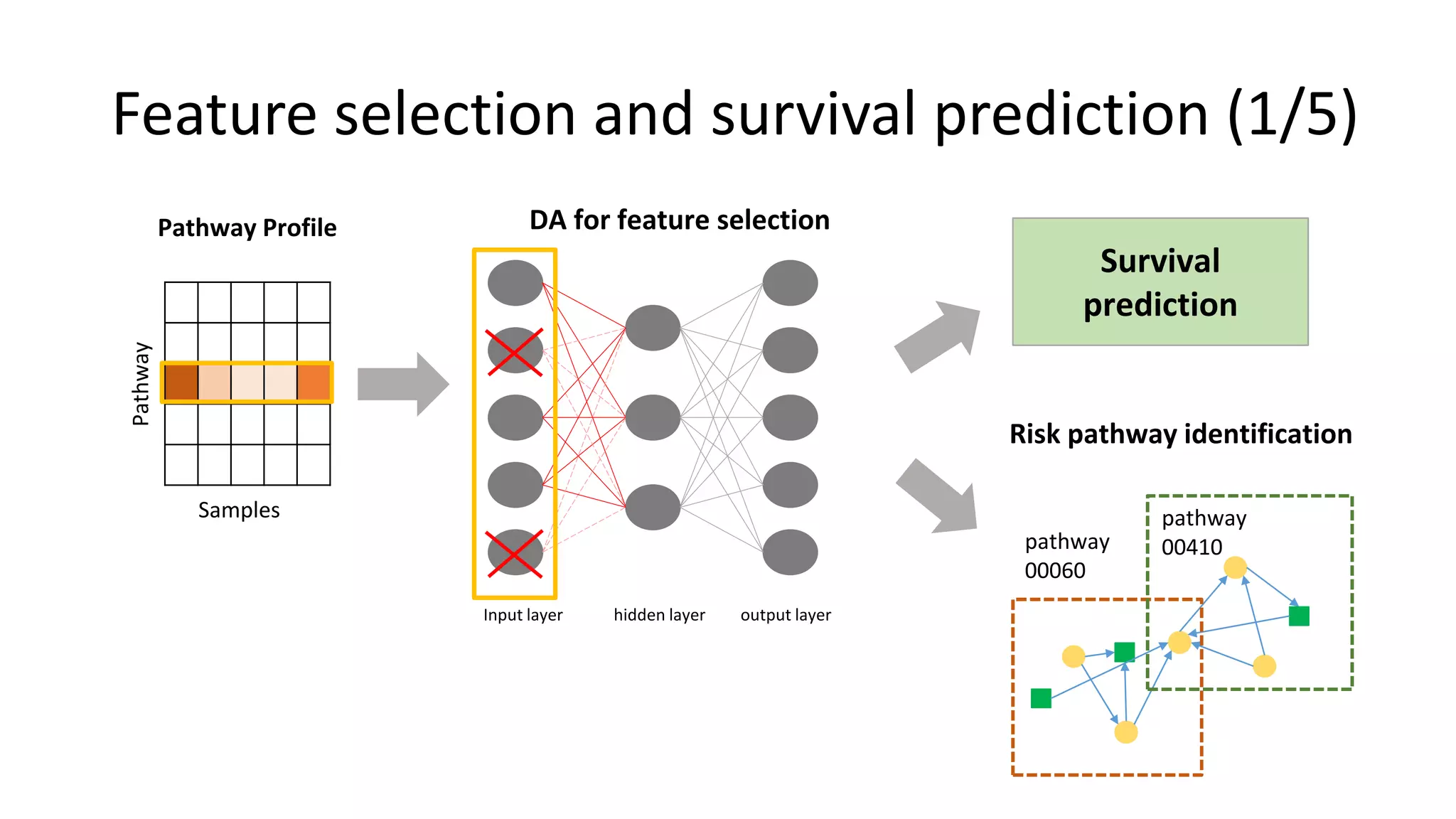 Risk pathway identification
Survival
prediction
pathway
00410pathway
00060
DA for feature selection
Input layer hidden layer output layer
Pathway
Samples
Pathway Profile
Feature selection and survival prediction (1/5)
 