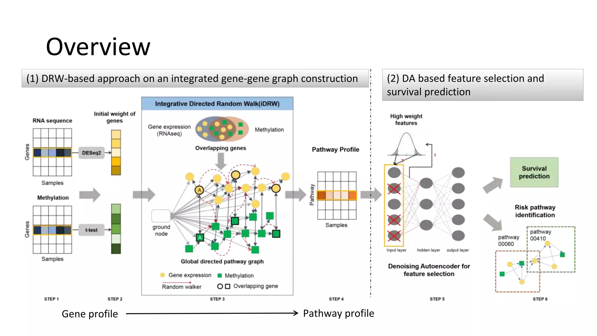 Overview
(1) DRW-based approach on an integrated gene-gene graph construction
Gene profile Pathway profile
(2) DA based feature selection and
survival prediction
 