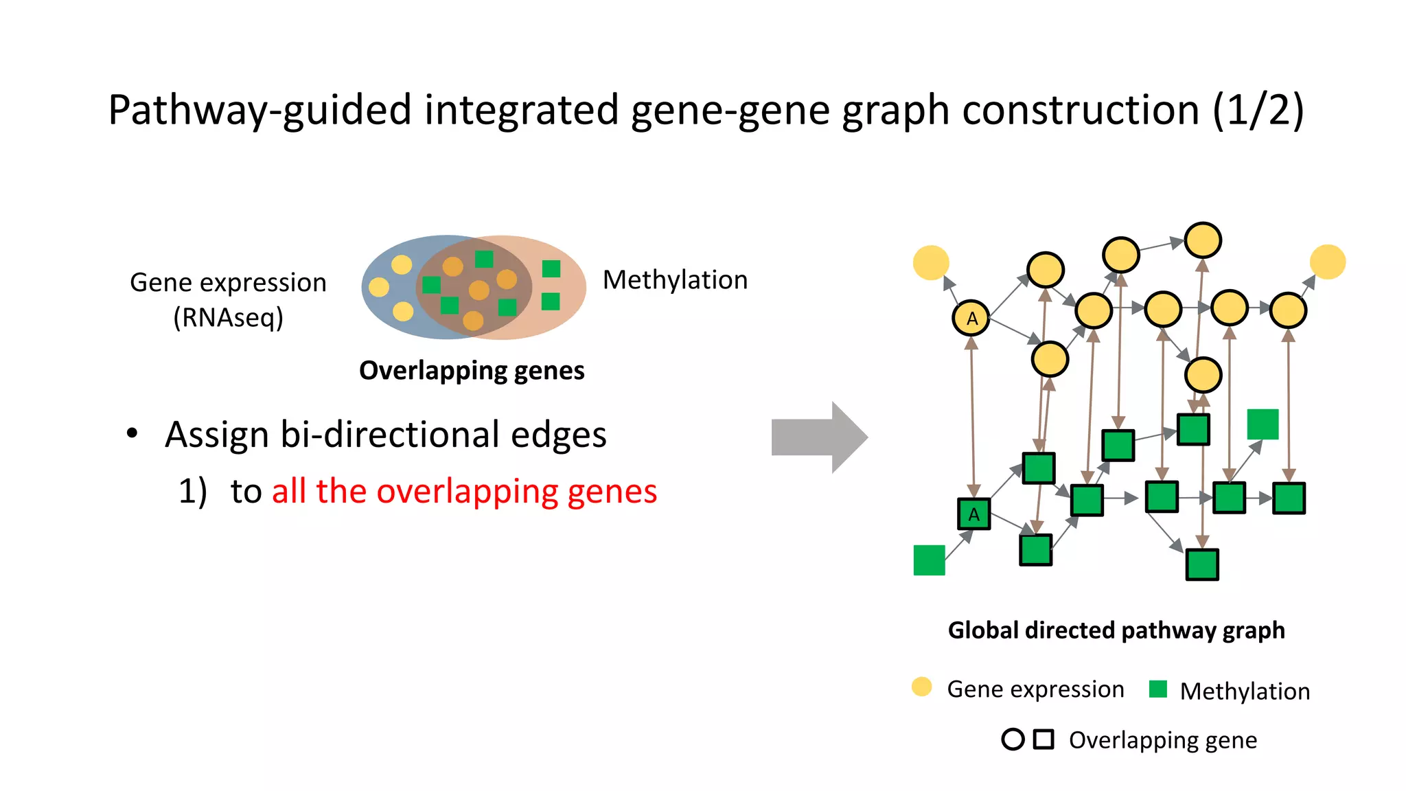 A
A
Global directed pathway graph
Gene expression Methylation
Overlapping gene
• Assign bi-directional edges
1) to all the overlapping genes
Gene expression
(RNAseq)
Overlapping genes
Methylation
Pathway-guided integrated gene-gene graph construction (1/2)
 