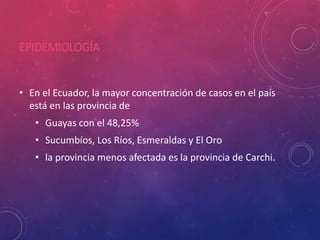 EPIDEMIOLOGÍA
• En el Ecuador, la mayor concentración de casos en el país
está en las provincia de
• Guayas con el 48,25%
• Sucumbíos, Los Ríos, Esmeraldas y El Oro
• la provincia menos afectada es la provincia de Carchi.
 