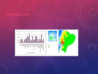 EPIDEMIOLOGÍA
 