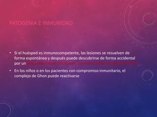PATOGENIA E INMUNIDAD
• Si el huésped es inmunocompetente, las lesiones se resuelven de
forma espontánea y después puede descubrirse de forma accidental
por un pequeño nódulo calcificado, conocido como complejo de Ghon.
• En los niños o en los pacientes con compromiso inmunitario, el
complejo de Ghon puede reactivarse
 