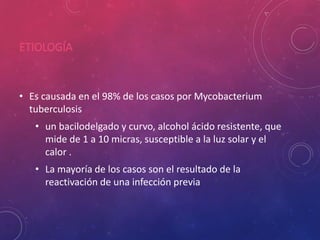 ETIOLOGÍA
• Es causada en el 98% de los casos por Mycobacterium
tuberculosis
• un bacilodelgado y curvo, alcohol ácido resistente, que
mide de 1 a 10 micras, susceptible a la luz solar y el
calor .
• La mayoría de los casos son el resultado de la
reactivación de una infección previa
 