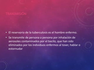 TRANSMISIÓN
• El reservorio de la tuberculosis es el hombre enfermo.
• Se transmite de persona a persona por inhalación de
aerosoles contaminados por el bacilo, que han sido
eliminados por los individuos enfermos al toser, hablar o
estornudar
 