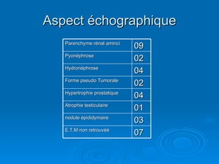 Aspect échographique Parenchyme rénal aminci 09 Pyonéphrose 02 Hydronéphrose 04 Forme pseudo Tumorale 02 Hypertrophie prostatique 04 Atrophie testiculaire 01 nodule épididymaire 03 E.T.M non retrouvéé 07 