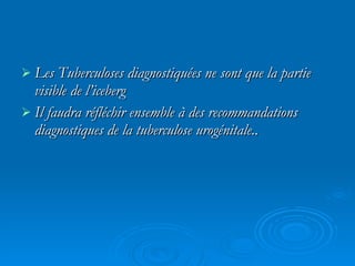 Les Tuberculoses diagnostiquées ne sont que la partie visible de l’iceberg Il faudra réfléchir ensemble à des recommandations diagnostiques de la tuberculose urogénitale.. 