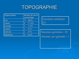 TOPOGRAPHIE Organe atteint Nombre de cas et pourcentage rein 17  48,5% vessie 6  17,14% prostate 4  11,4% uretère 2  5,7%  testicule 2  5,7% épididyme 5  14,2% Atteintes urinaires: 25 Atteintes génitales : 10 Atteinte uro-génitale : 1 