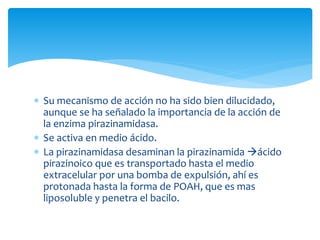  Su mecanismo de acción no ha sido bien dilucidado, 
aunque se ha señalado la importancia de la acción de 
la enzima pirazinamidasa. 
 Se activa en medio ácido. 
 La pirazinamidasa desaminan la pirazinamida ácido 
pirazinoico que es transportado hasta el medio 
extracelular por una bomba de expulsión, ahí es 
protonada hasta la forma de POAH, que es mas 
liposoluble y penetra el bacilo. 
 