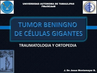 UNIVERSIDAD AUTONOMA DE TAMAULIPAS
FMeISCdeM
TRAUMATOLOGIA Y ORTOPEDIA
J. De Jesus Montemayor B.
 