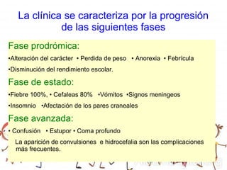 La clínica se caracteriza por la progresión
de las siguientes fases
Fase prodrómica:
•Alteración del carácter • Perdida de peso • Anorexia • Febrícula
•Disminución del rendimiento escolar.
Fase de estado:
•Fiebre 100%, • Cefaleas 80% •Vómitos •Signos meningeos
•Insomnio •Afectación de los pares craneales
Fase avanzada:
• Confusión • Estupor • Coma profundo
La aparición de convulsiones e hidrocefalia son las complicaciones
más frecuentes.
 
