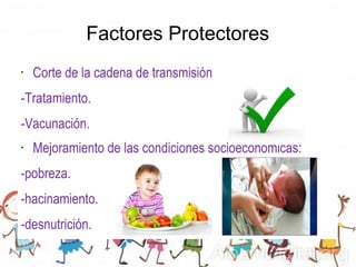 • Corte de la cadena de transmisión
-Tratamiento.
-Vacunación.
• Mejoramiento de las condiciones socioeconómicas:
-pobreza.
-hacinamiento.
-desnutrición.
Factores Protectores
 