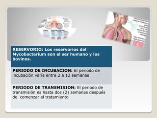 RESERVORIO: Los reservorios del
Mycobacterium son el ser humano y los
bovinos.

PERIODO DE INCUBACION: El periodo de
incubación varía entre 2 a 12 semanas


PERIODO DE TRANSMISION: El periodo de
transmisión es hasta dos (2) semanas después
de comenzar el tratamiento
 
