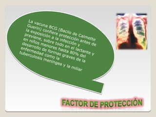 La v
      Gue acuna
                   B
     la e rin) conf CG (Bac
          xp        ier       i lo
    previ osición e prote de Calm
           ene,      a           c
   en
       ni       sobr la infec ción an ette
  desa ños m         e to        c
                         do e i ó n y
                                            tes
                                                de
        rro l   enore
 en e                  s ha n el lac
    f r m l o de f o                      t
tube       edad      rmas sta 80% ante y
      rcul       c
           osis omo la graves del
                men                  de l a
                     ínge
                          a y la
                                   mil i
                                         ar
 