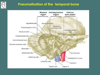 Temporal Bone Dissection :Anatomy.Technique.Surgical Precision | PDF