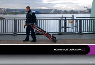 MULTI PURPOSE LADDER RANGE //




                                17
 