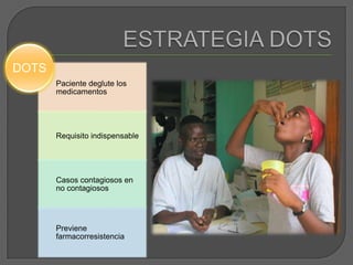 ESTRATEGIA DOTS