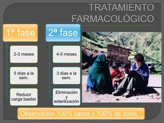 TRATAMIENTO FARMACOLÓGICO