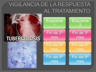 VIGILANCIA DE LA RESPUESTA AL TRATAMIENTO