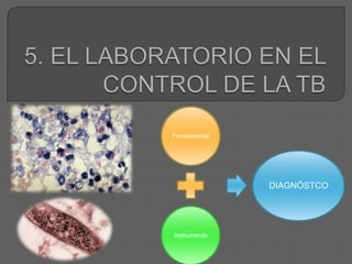 5. EL LABORATORIO EN EL CONTROL DE LA TB