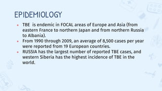 EPIDEMIOLOGY
● TBE is endemic in FOCAL areas of Europe and Asia (from
eastern France to northern Japan and from northern Russia
to Albania).
● From 1990 through 2009, an average of 8,500 cases per year
were reported from 19 European countries.
● RUSSIA has the largest number of reported TBE cases, and
western Siberia has the highest incidence of TBE in the
world.
 