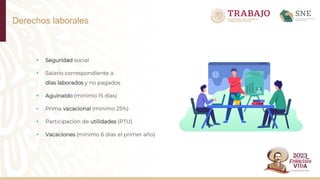 Derechos laborales
• Seguridad social
• Salario correspondiente a
días laborados y no pagados
• Aguinaldo (mínimo 15 días)
• Prima vacacional (mínimo 25%)
• Participación de utilidades (PTU)
• Vacaciones (mínimo 6 días el primer año)
 