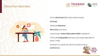 Derechos laborales
• Prima dominical (25% sobre salario base)
• Contrato
• Día(s) de descanso
• Renuncia voluntaria
• Licencia por maternidad, paternidad o adopción
• Prima de antigüedad (siempre que hayas laborado 15
años o más)
• Cambiar tu cuenta de nómina al banco de tu
preferencia.
 
