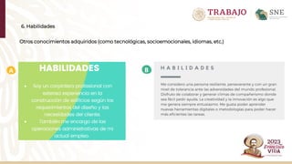 6. Habilidades
Otros conocimientos adquiridos (como tecnológicas, socioemocionales, idiomas, etc.)
A B
 