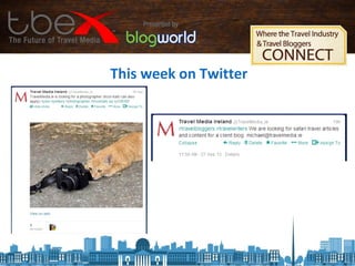 This week on Twitter
 