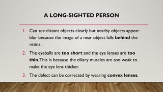 A LONG-SIGHTED PERSON
1. Can see distant objects clearly but nearby objects appear
blur because the image of a near object falls behind the
retina.
2. The eyeballs are too short and the eye lenses are too
thin.This is because the ciliary muscles are too weak to
make the eye lens thicker.
3. The defect can be corrected by wearing convex lenses.
 