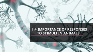 1.4 IMPORTANCE OF RESPONSES
TO STIMULI IN ANIMALS
 