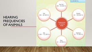 HEARING
FREQUENCIES
OF ANIMALS
 
