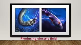 Producing electric field
 