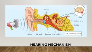 HEARING MECHANISM
 