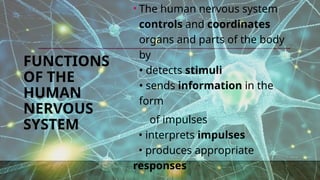 FUNCTIONS
OF THE
HUMAN
NERVOUS
SYSTEM
• The human nervous system
controls and coordinates
organs and parts of the body
by
• detects stimuli
• sends information in the
form
of impulses
• interprets impulses
• produces appropriate
responses
 