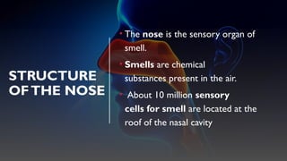 STRUCTURE
OFTHE NOSE
• The nose is the sensory organ of
smell.
• Smells are chemical
substances present in the air.
• About 10 million sensory
cells for smell are located at the
roof of the nasal cavity
 