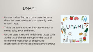 UMAMI
• Umami is classified as a basic taste because
there are taste receptors that can only detect
umami taste.
• This is the same as other basic tastes such as
sweet, salty, sour and bitter.
• Umami taste is related to delicious tastes such
as the taste of meat in soups or the taste of
fermented foods such as cheese and
mushrooms or monosodium glutamate (MSG).
 