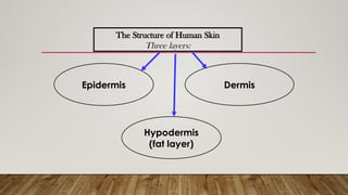 The Structure of Human Skin
Three layers:
Epidermis Dermis
Hypodermis
(fat layer)
 
