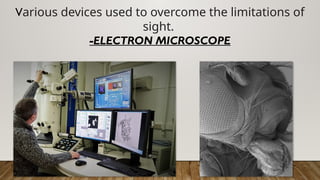 Various devices used to overcome the limitations of
sight.
-ELECTRON MICROSCOPE
 
