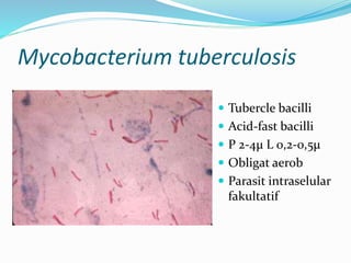 Mycobacterium tuberculosis
 Tubercle bacilli
 Acid-fast bacilli
 P 2-4µ L 0,2-0,5µ
 Obligat aerob
 Parasit intraselular
fakultatif
 