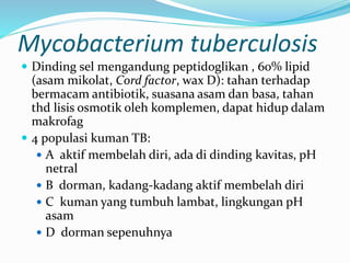 Mycobacterium tuberculosis
 Dinding sel mengandung peptidoglikan , 60% lipid
(asam mikolat, Cord factor, wax D): tahan terhadap
bermacam antibiotik, suasana asam dan basa, tahan
thd lisis osmotik oleh komplemen, dapat hidup dalam
makrofag
 4 populasi kuman TB:
 A aktif membelah diri, ada di dinding kavitas, pH
netral
 B dorman, kadang-kadang aktif membelah diri
 C kuman yang tumbuh lambat, lingkungan pH
asam
 D dorman sepenuhnya
 