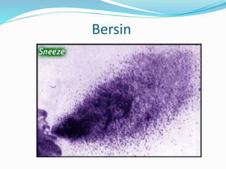 Bersin
 